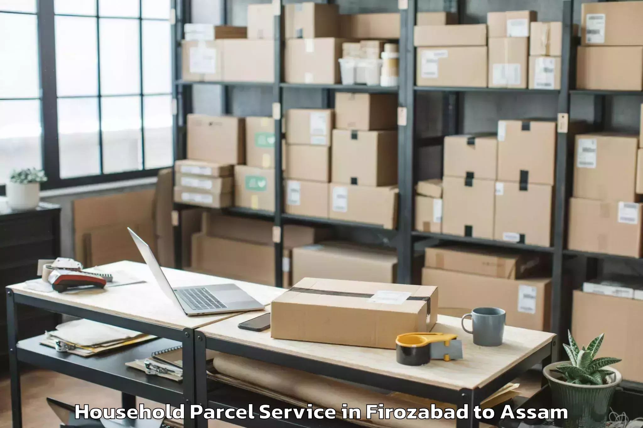 Professional Firozabad to Numaligarh Household Parcel